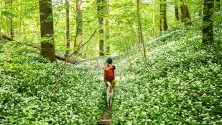 időjárás, előrejelzés, napsütés, szél, eső, hidegfront, lehűlés