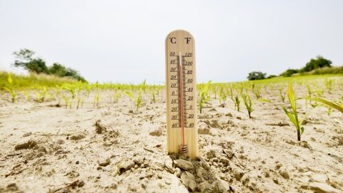 időjárás, rekord, meleg,