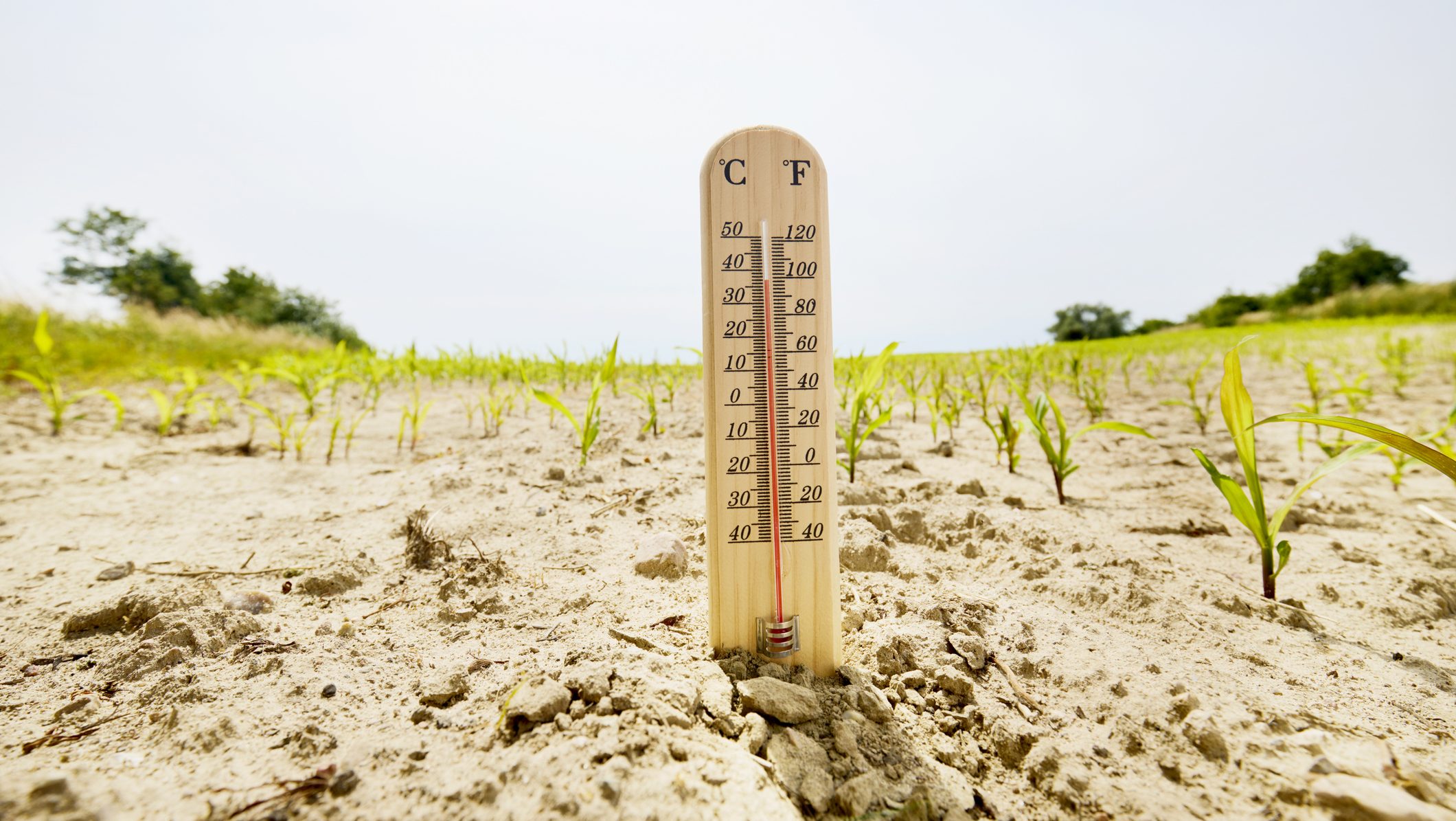 időjárás, rekord, meleg,