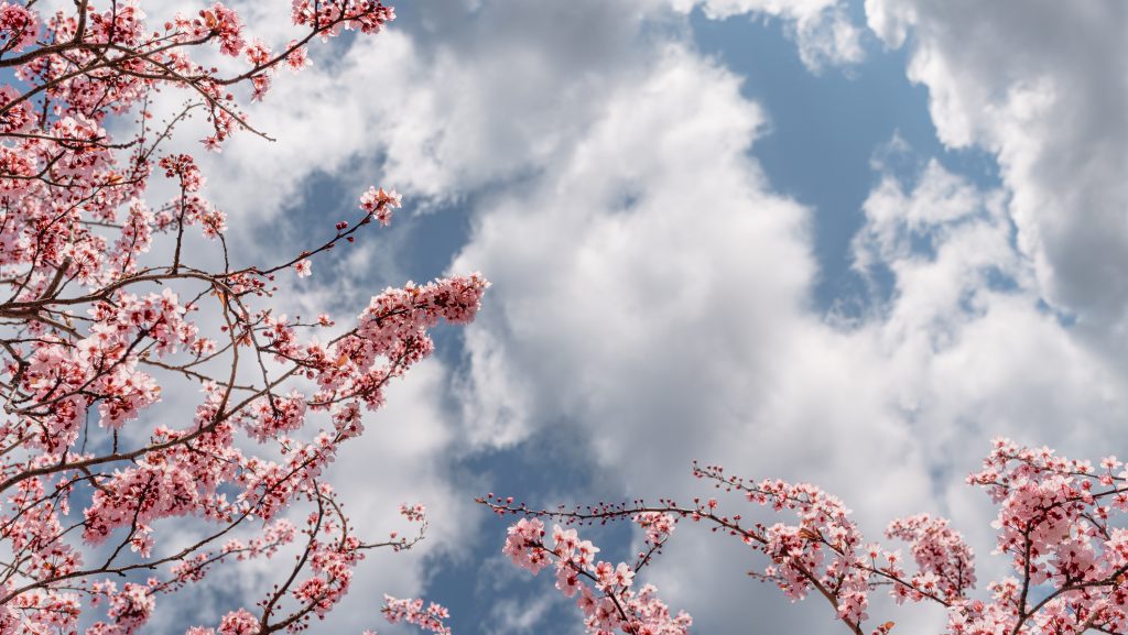 Lehűlés jön a napsütéses hétvége után