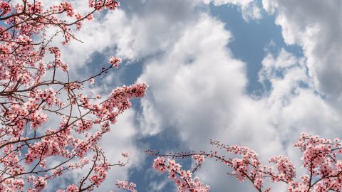 időjárás, előrejelzés, lehűlés