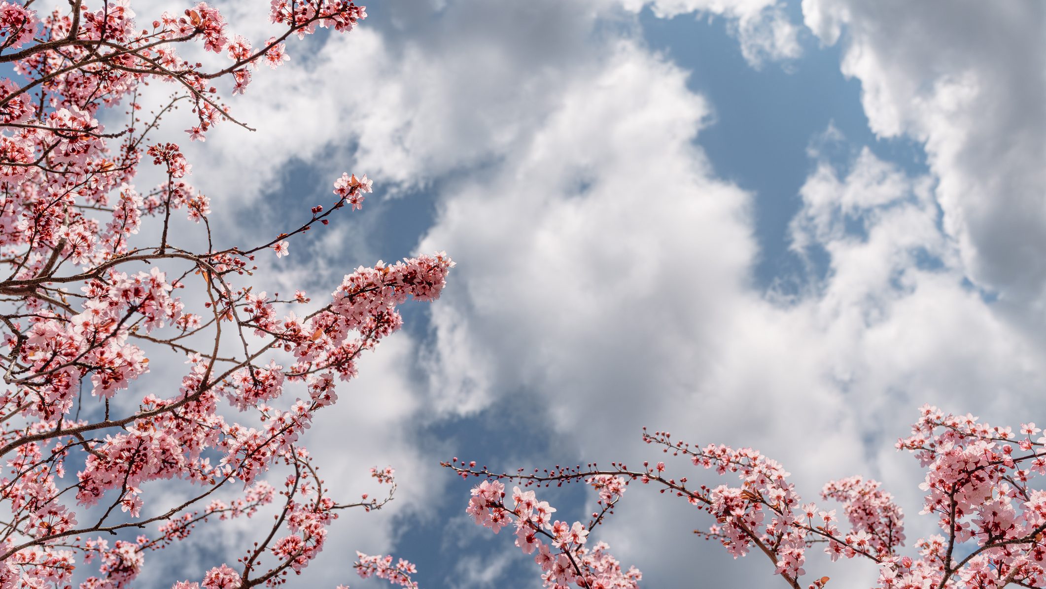 időjárás, előrejelzés, lehűlés