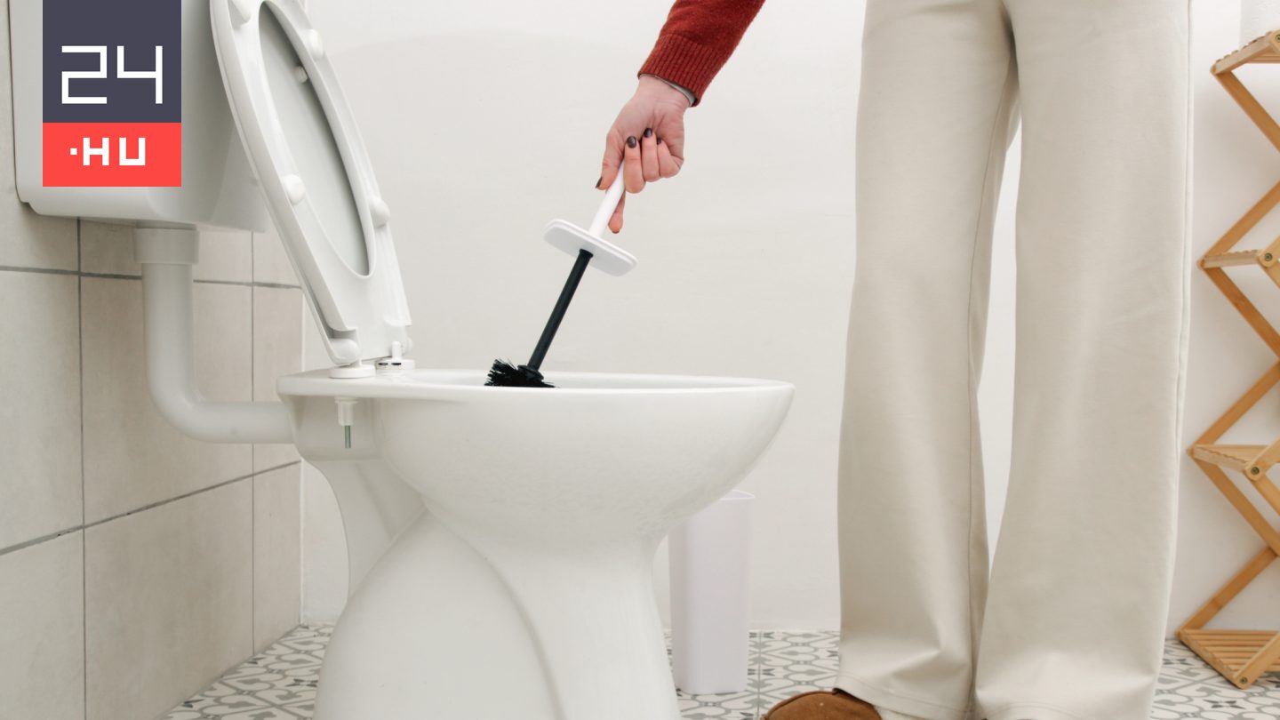 Milyen gyakran kell lecserélni a WC-kefét?