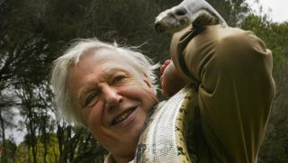 David Attenborough egy kígyóval a vállán, Ausztráliában 2003-ban.