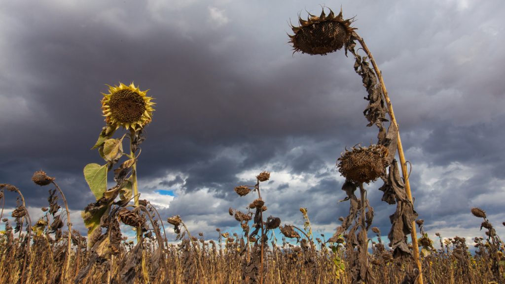 el nino, enso, felmelegedés, időjárás