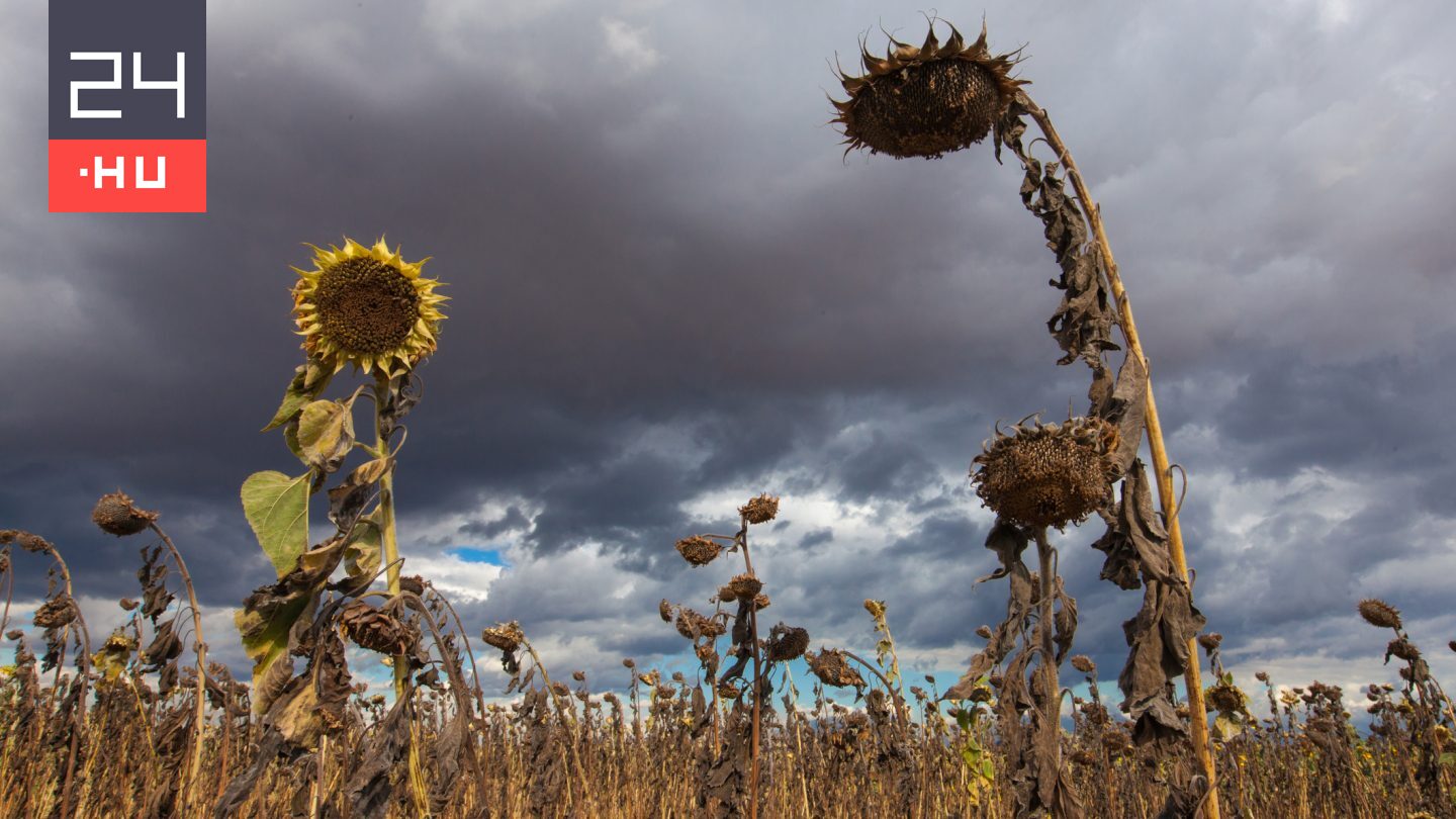Már látni, mikor térhet vissza az El Niño