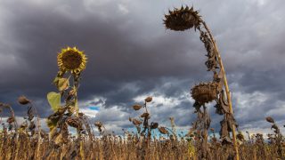 el nino, enso, felmelegedés, időjárás