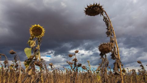 el nino, enso, felmelegedés, időjárás