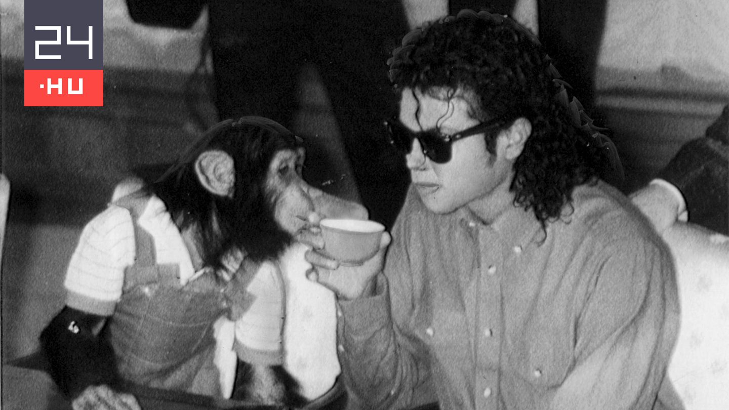 Még mindig életben van Michael Jackson csimpánza, Bubbles