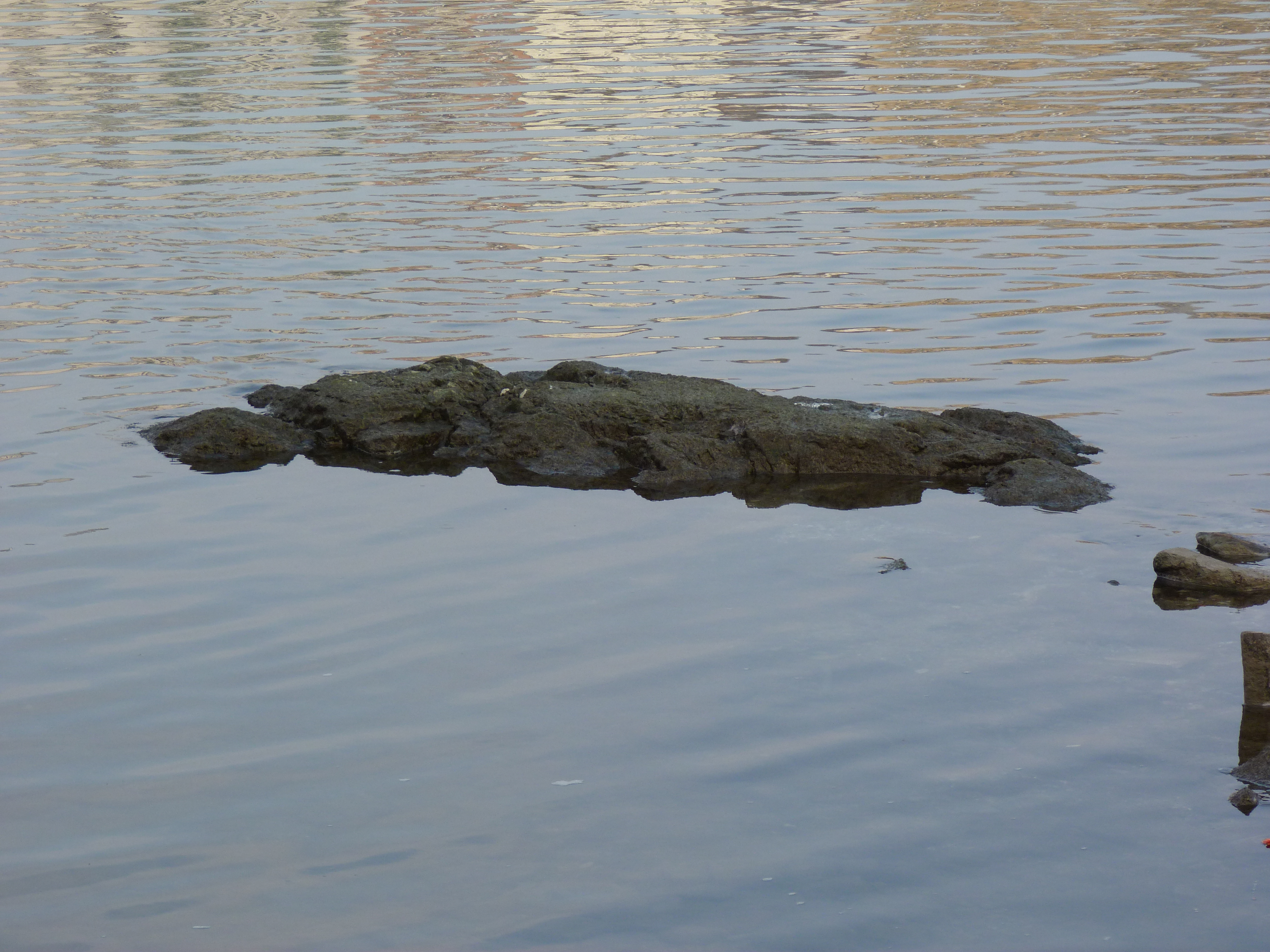 szárazság, ínség-szikla, fotó, 