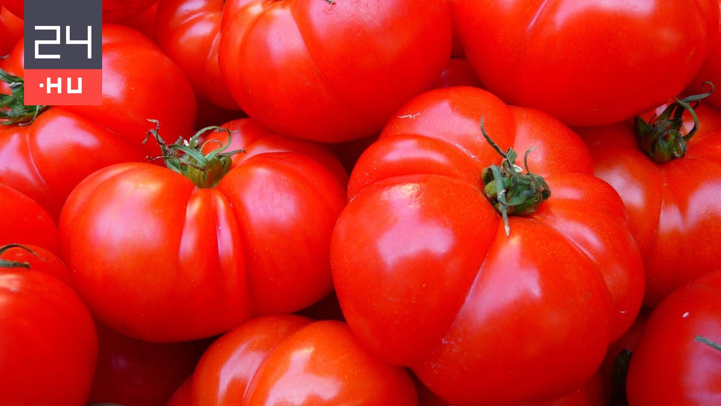 3 tanács a tökéletes és ízletes paradicsomterméshez