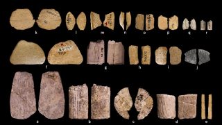 Pleisztocén korból származó, amerikai őslakosok által készített dobókockák.