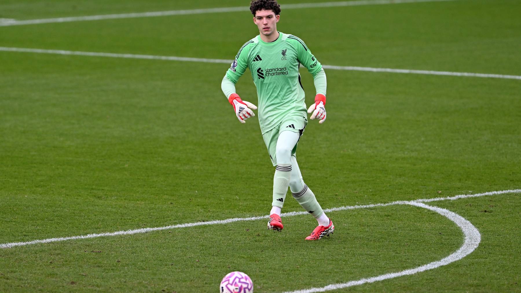 KIRKBY, ENGLAND - FEBRUARY 15: (THE SUN OUT, THE SUN ON SUNDAY OUT) Armin Pecsi of Liverpool in action during the PL2 match at AXA Training Centre on February 15, 2026 in Kirkby, England. (Photo by Nick Taylor/Liverpool FC/Liverpool FC via Getty Images)
