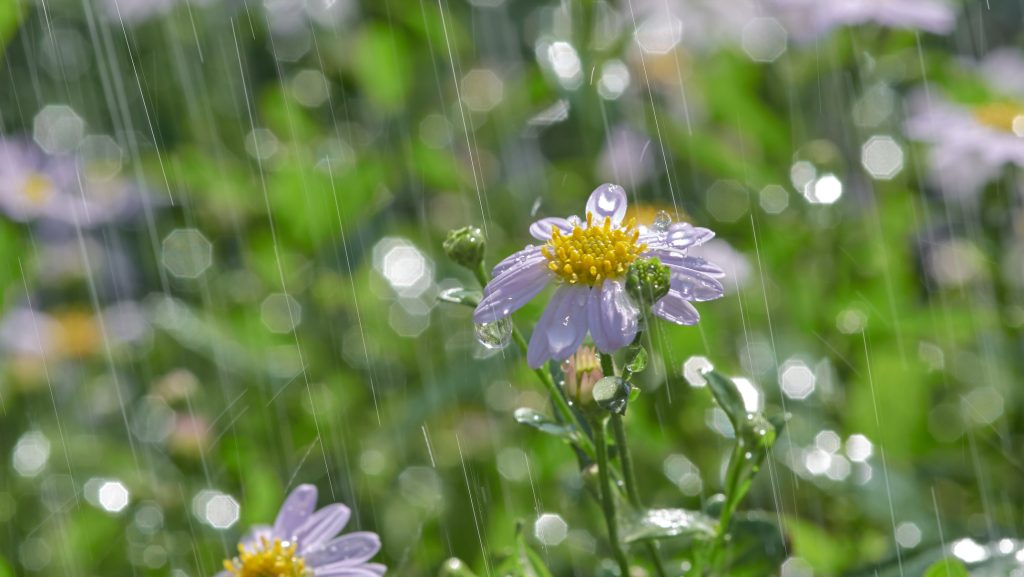 Marad a hűvösebb idő záporokkal, zivatarokkal