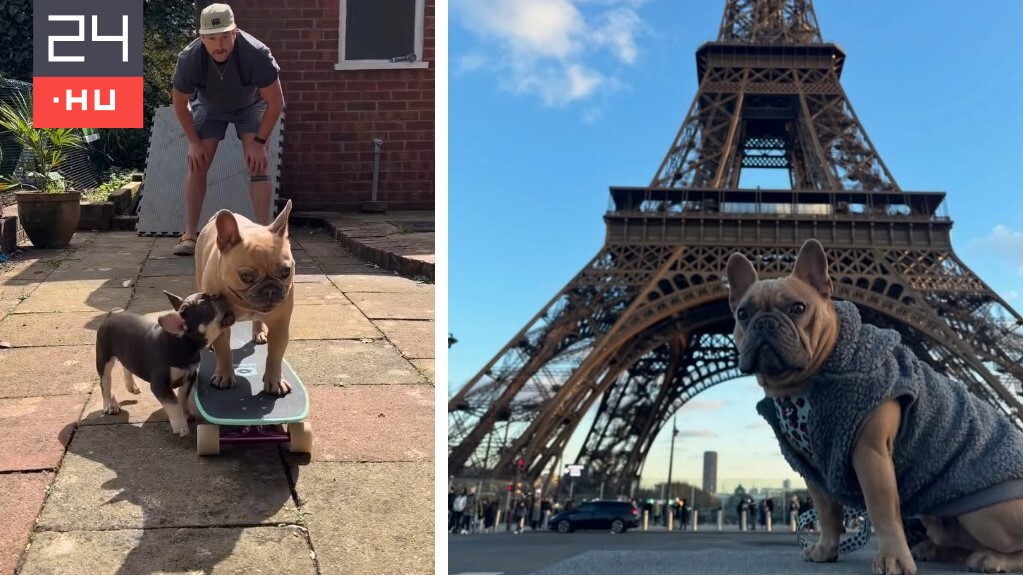 Miután megtudta, mennyit kereshet a kutyájával, felmondott a munkahelyén a brit asztalos