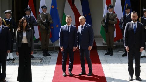 tusk, magyar