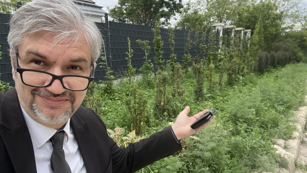 Hadházy Ákos: Hatvanpusztát szó szerint kezdi felverni a gaz