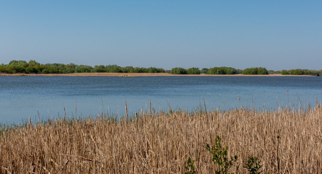 Megvádolták a motorcsónakost, aki elütött és sorsára hagyott egy kajakost a Tisza-tavon
