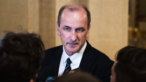 hegedűs zsolt