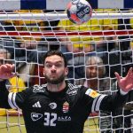 Palasics Kristóf a férfi kézilabda-Európa-bajnokság középdöntõjének 3. fordulójában.