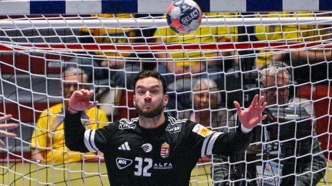 Palasics Kristóf a férfi kézilabda-Európa-bajnokság középdöntõjének 3. fordulójában.