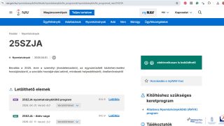 Bonyolult lehet az idei adóbevallás, főleg a családosoknak.