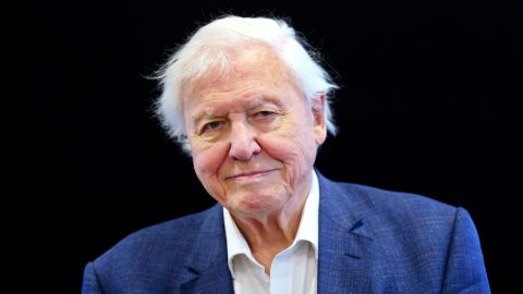 david attenborough, baba, újszülött, elnevezés, május 8