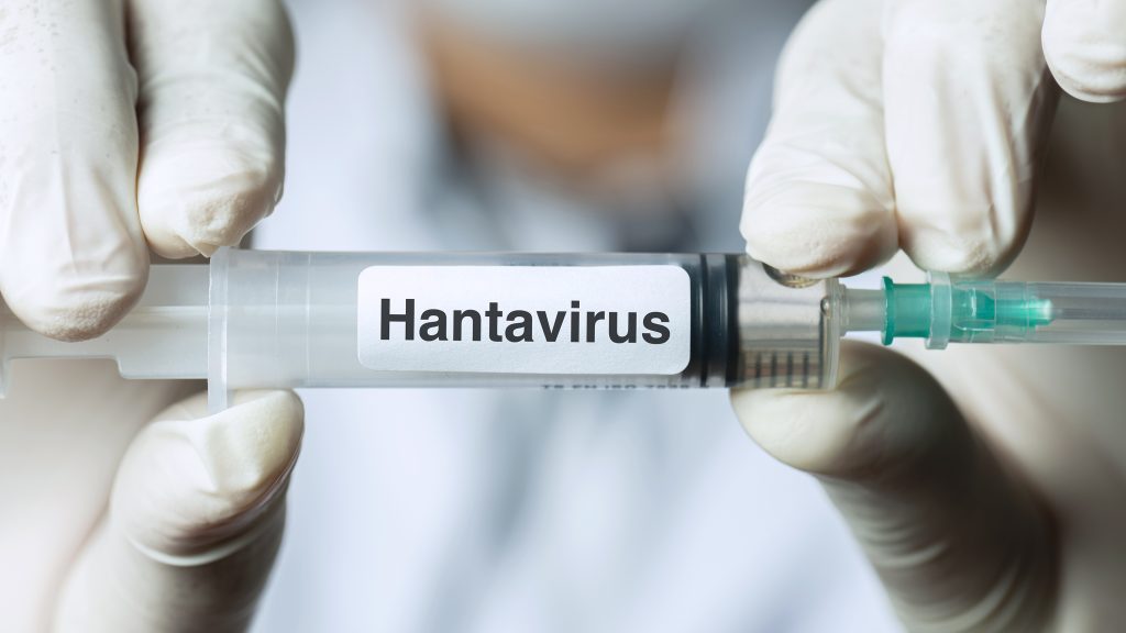 Mit kell tudni a hantavírusról, amelybe már hárman belehaltak egy tengerjáró hajó utasai közül?