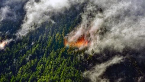 felmelegedés, adatok, ipcc, drámai helyzet, kutatók, szakértők
