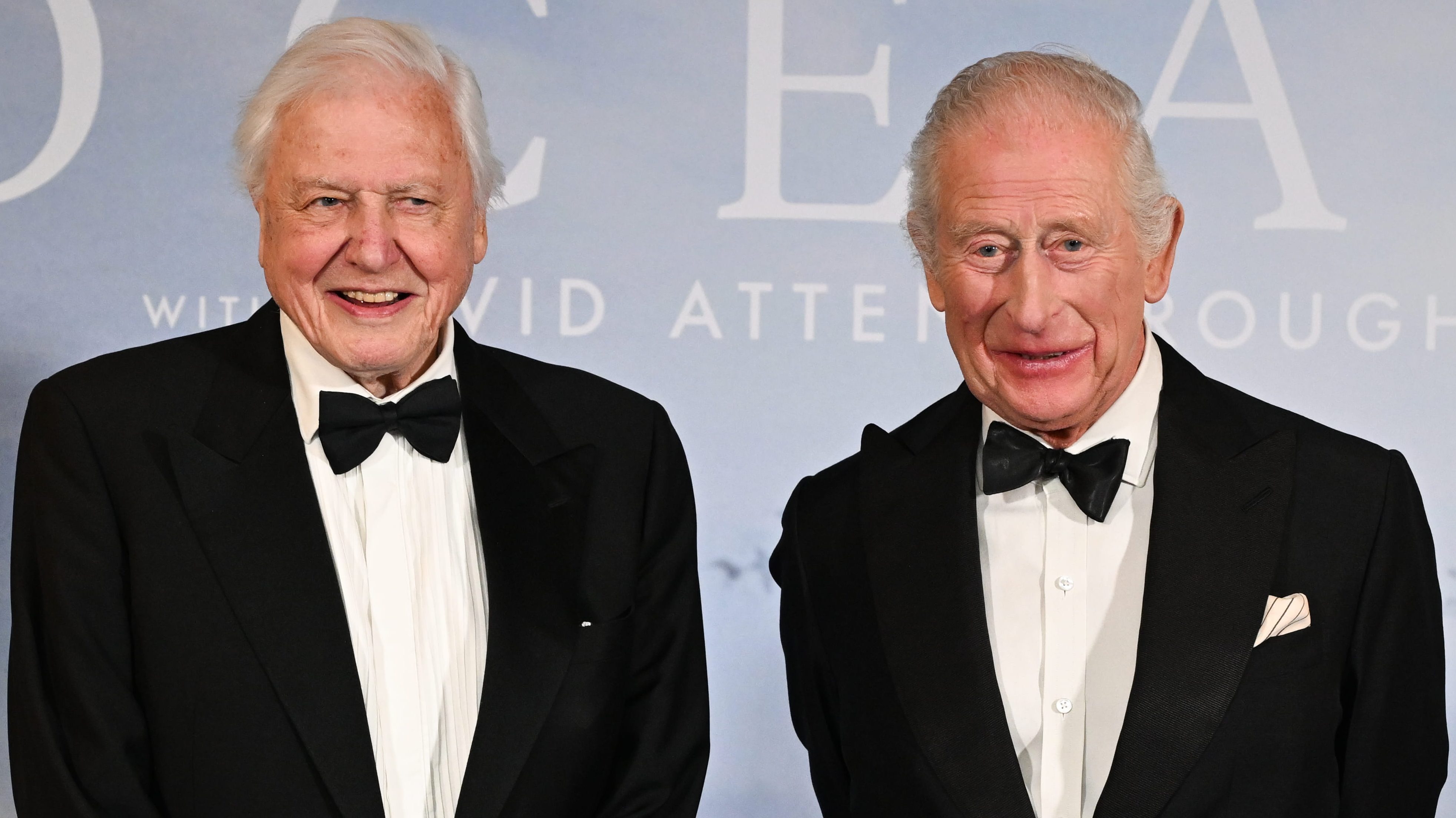 David Attenborough az angol király társaságában.