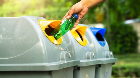 plastic bottle garbage for recycling concept reuse
