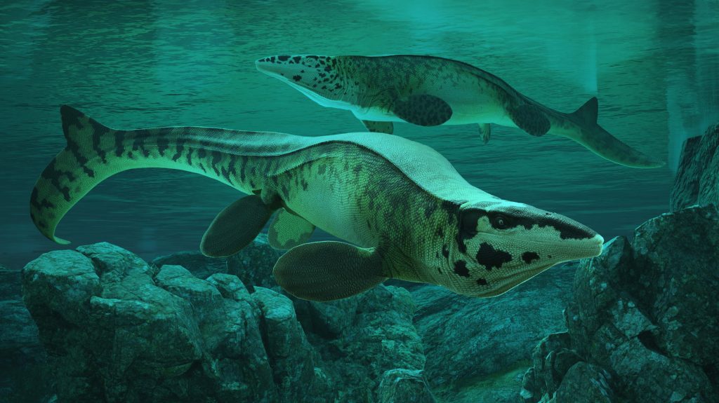 A Tylosaurus rex művészi illusztrációja.