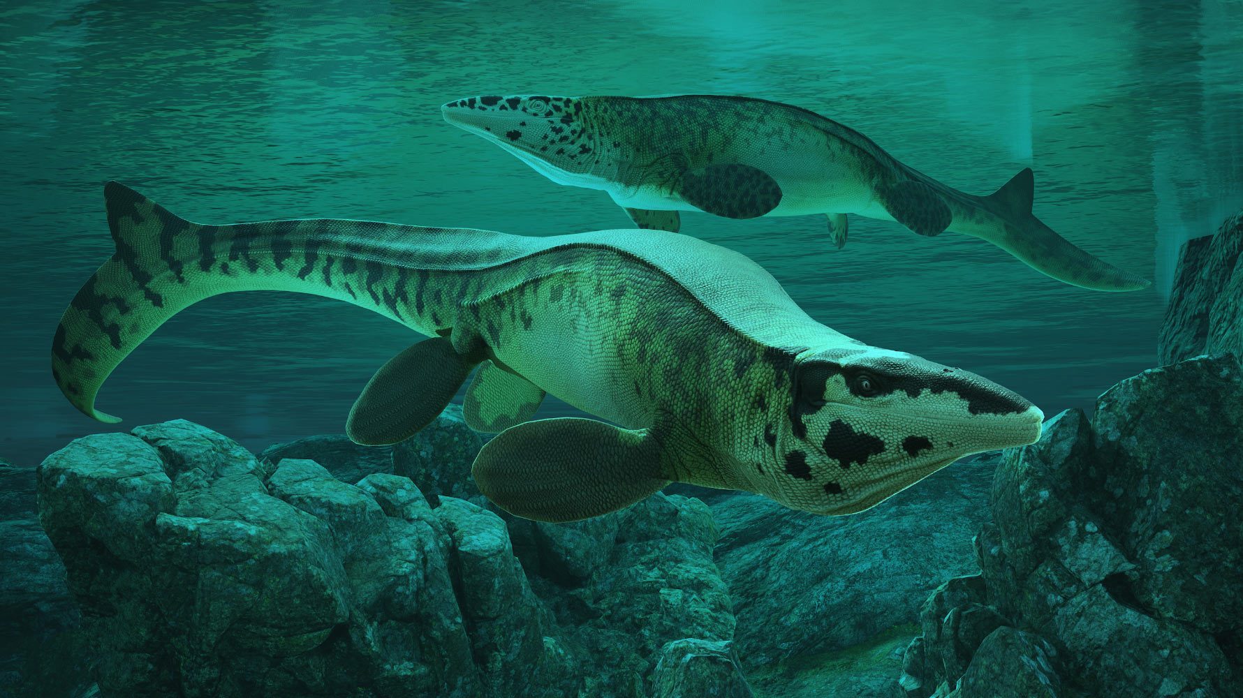 A Tylosaurus rex művészi illusztrációja.