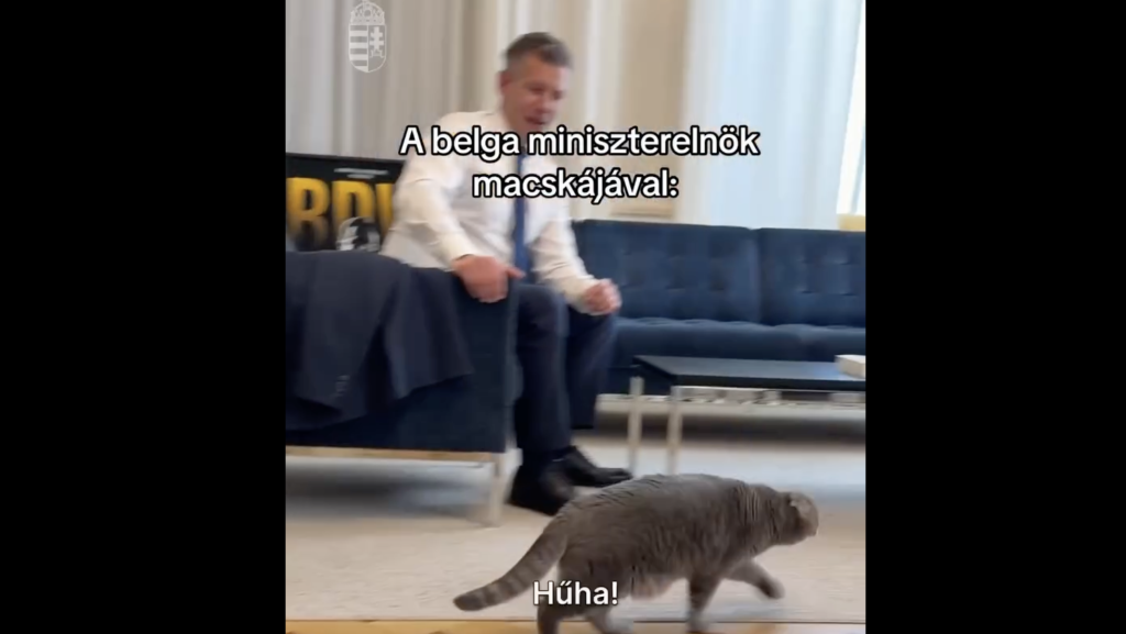 Magyar Péter találkozott a belga miniszterelnöki macskával