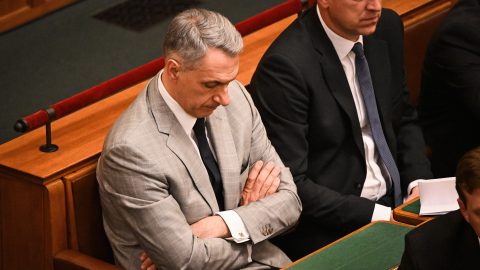 Lázár János, A Fidesz országgyűlési képviselője
