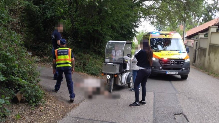 Kiszökött kutya ájultra harapta a postást a III. kerületben.