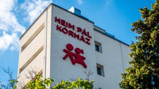 heim pál