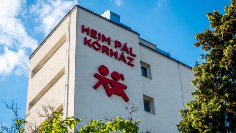 heim pál