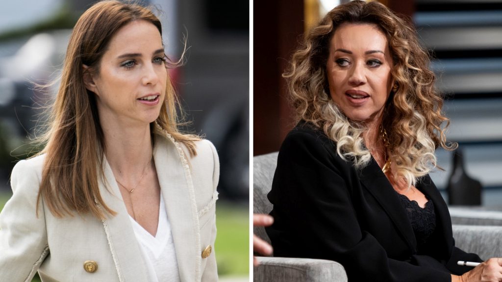 Tóth Ildikó: Autós üldözés kezdődött, miután lefényképeztem Rogán Cili 10 milliárdos házát