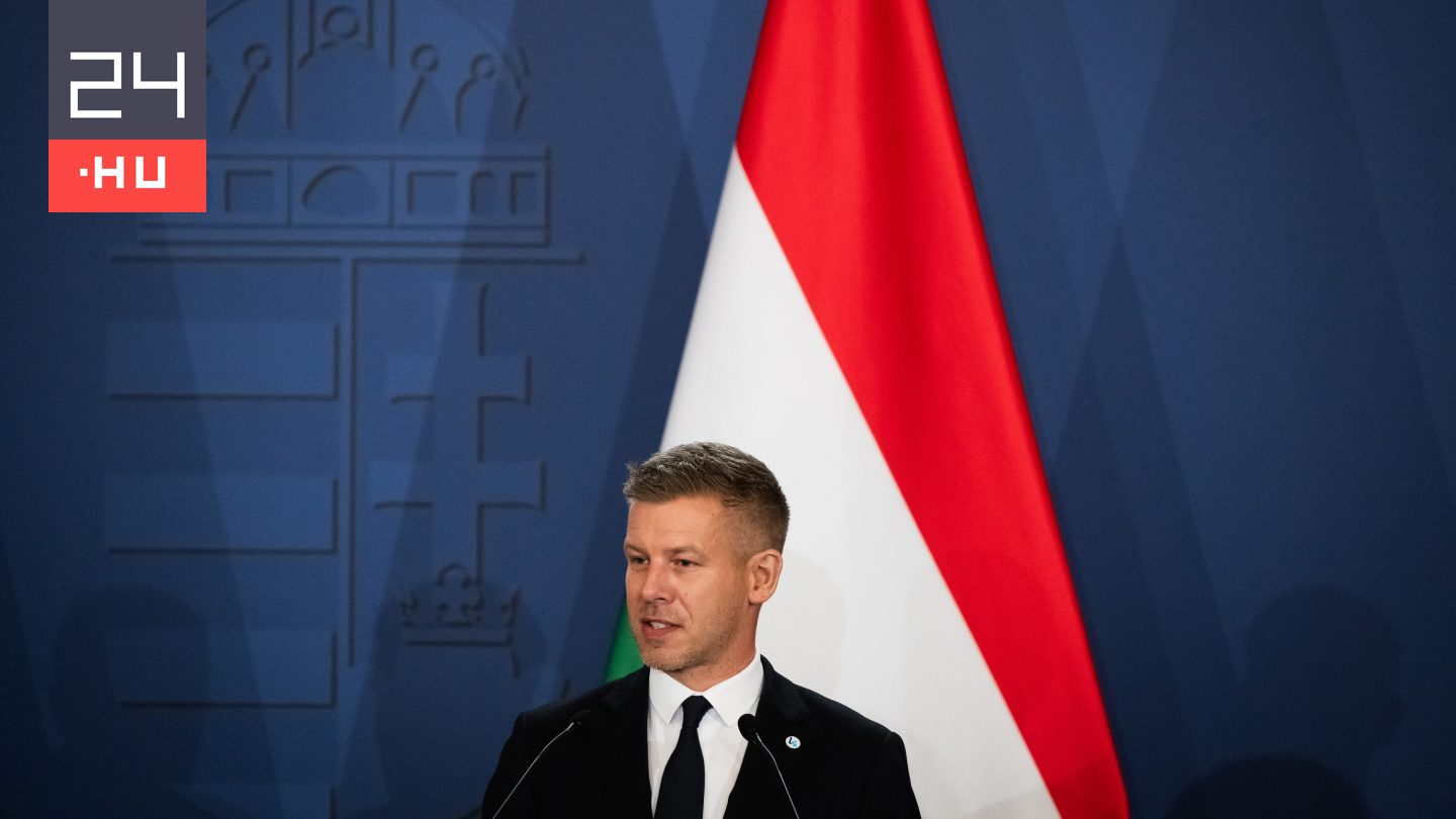 Magyar Péter: Hétfőtől távmunka a közszférában.