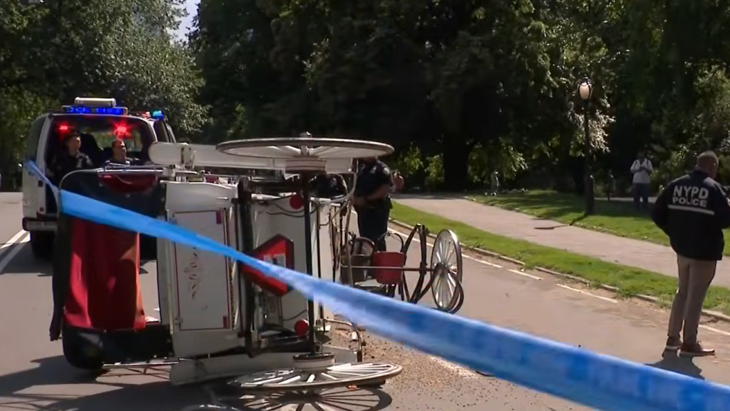 Meghalt egy 18 éves férfi, miután elszabadult egy lovaskocsi a new yorki Central Parkban
