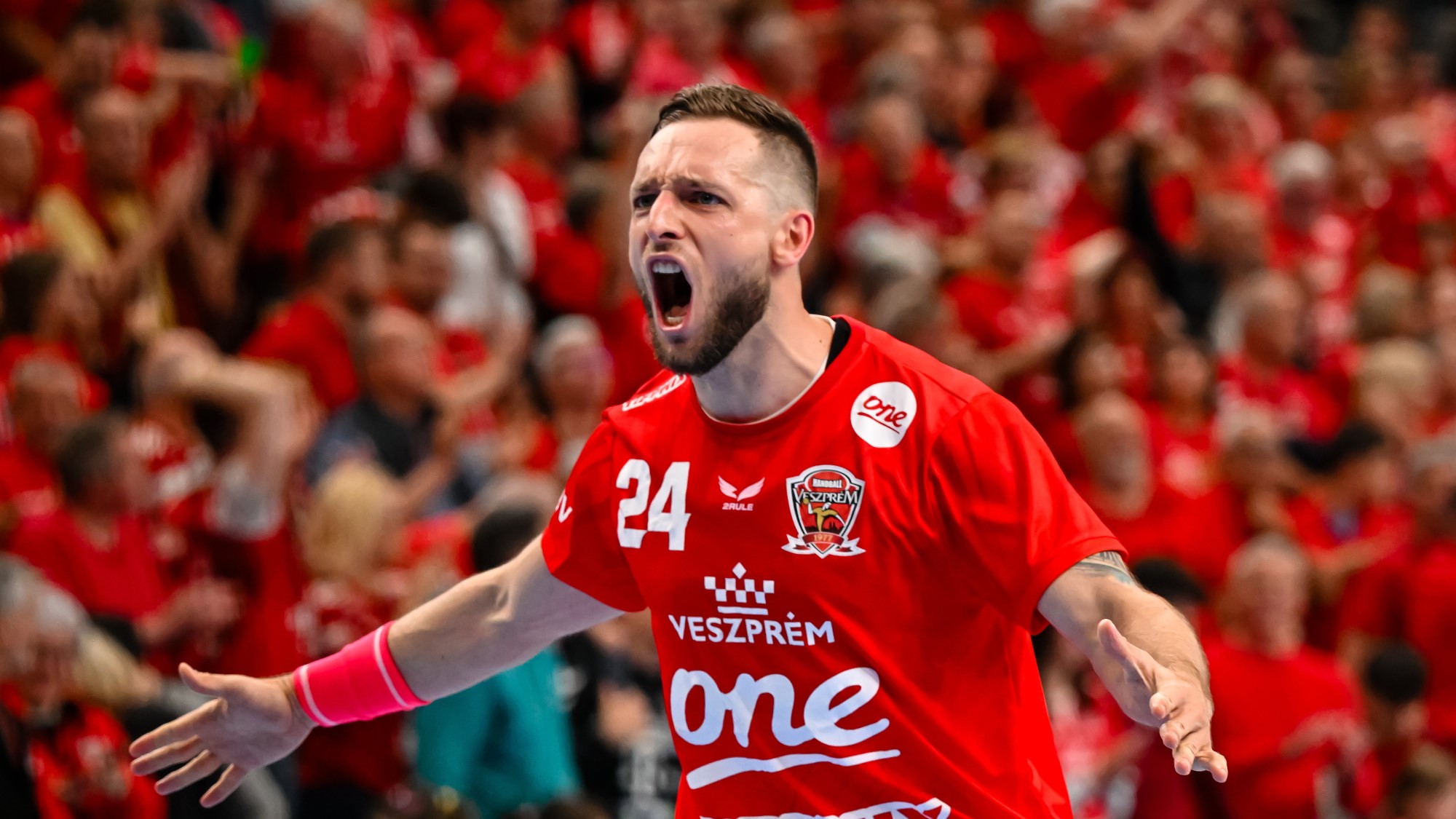 Gasper Marguc Veszprém kézilabda polgármester Porga Gyula kitüntetés