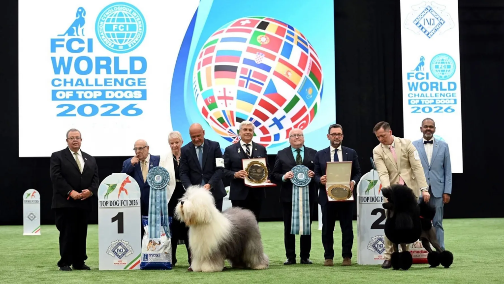 World Dog Show, magyar, kutya, legszebb