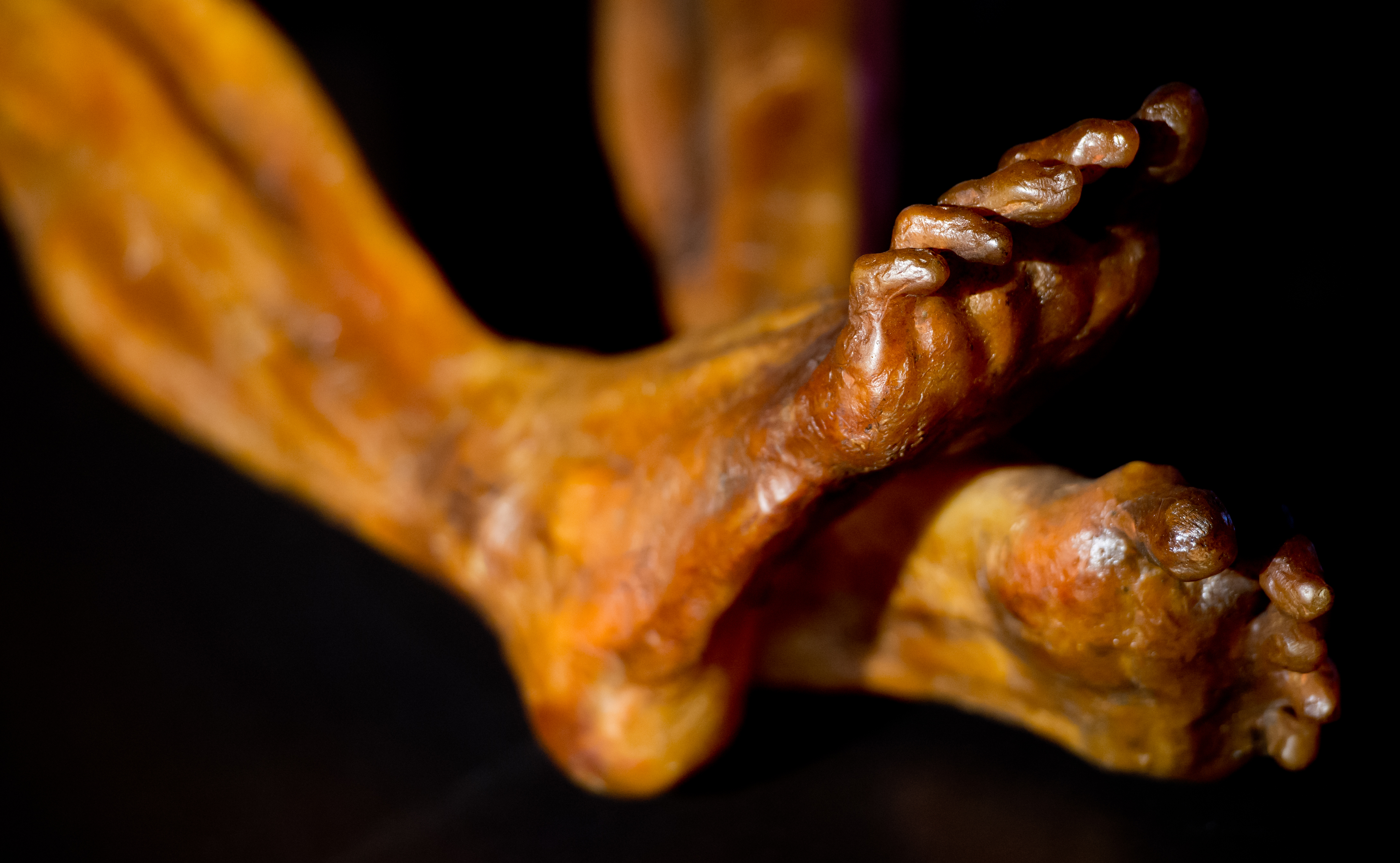 ötzi, jégmúmia, kutatás, gomba, mikrobiális élet