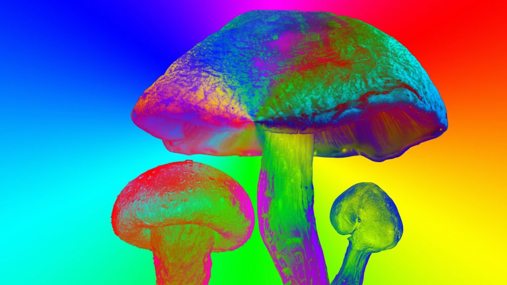 Megdöbbentő, mi történt az Alzheimer-kóros idős hölggyel, aki varázsgombát evett