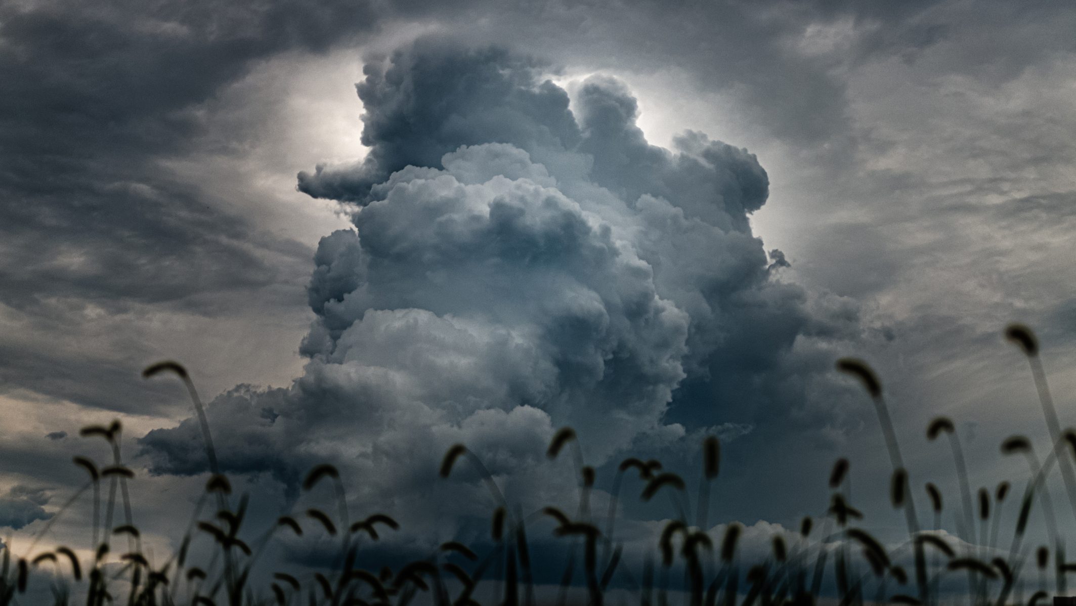 el nino, wmo, meteorológiai világszervezet, előrejelzés