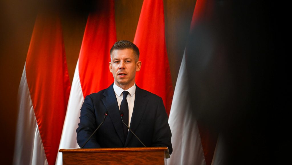 Magyar Péter: akár magáncégekhez is állami felügyelőt küldhetnek