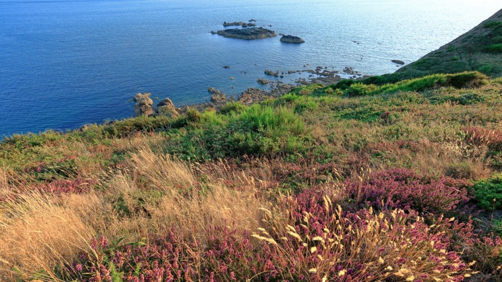 Szélsőséges hőmérsékletet mértek a La Manche csatornán