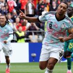foci vb belgium szenegál