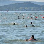 A 43. Lidl Balaton-átúszás résztvevői Révfülöpnél 2025. augusztus 9-én.